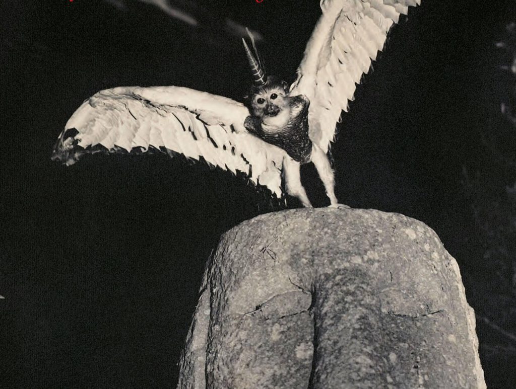 Joan Fontcuberta